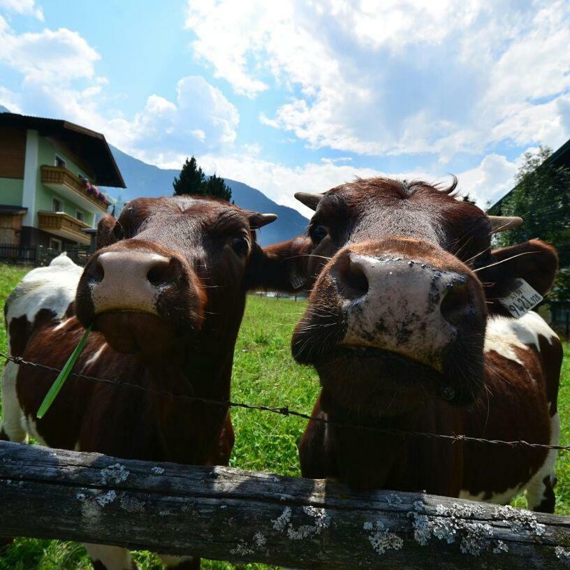 Landhaus Rieser Bad Hofgastein Ngoại thất bức ảnh